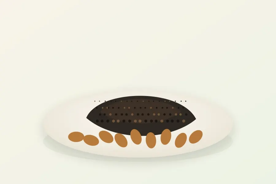Black Sesame & Nut Filling Series